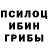 Псилоцибиновые грибы ЛСД Dima Baranenkov